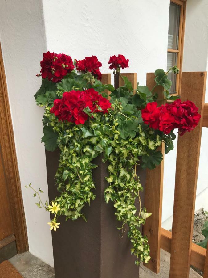 Appartement Bleierhof *